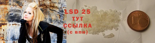 шишки Ахтубинск