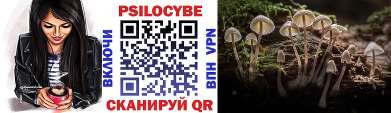 Псилоцибиновые грибы мицелий  Новокубанск 