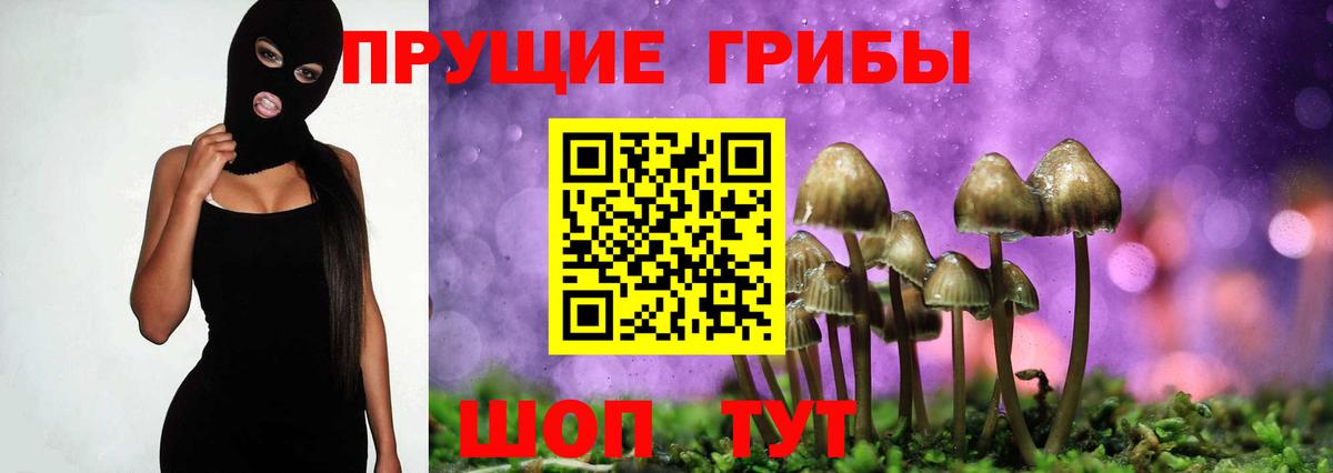 Галлюциногенные грибы мицелий Новокубанск
