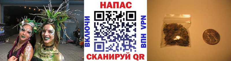 Бошки марихуана гибрид  Новокубанск 