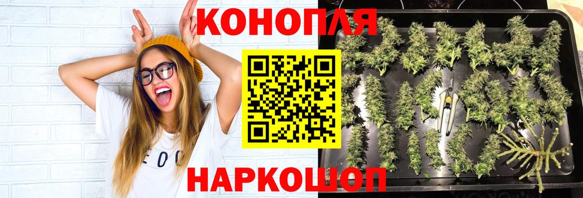 Каннабис SATIVA & INDICA  Шишки марихуана тримм  Вход с VPN  Бошки марихуана план  Новокубанск 